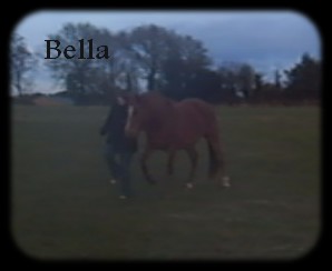 http://bella-et-moi.cowblog.fr/images/Bella/jambette1.jpg
