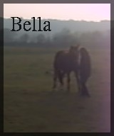 http://bella-et-moi.cowblog.fr/images/Bella/petite.jpg